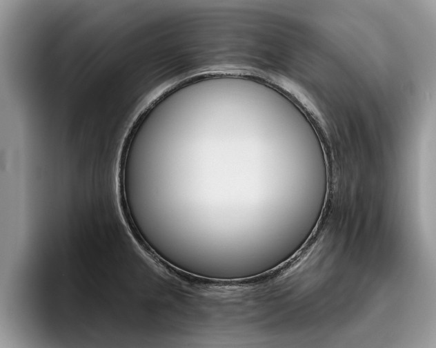 X0000096181237200801180844