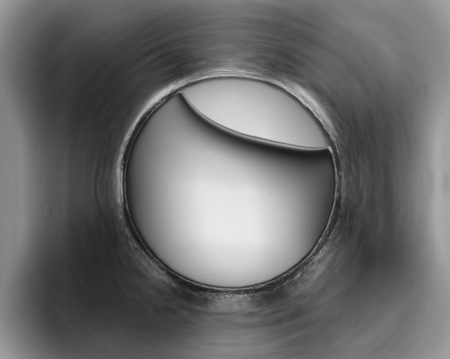X0000096181238200801180844