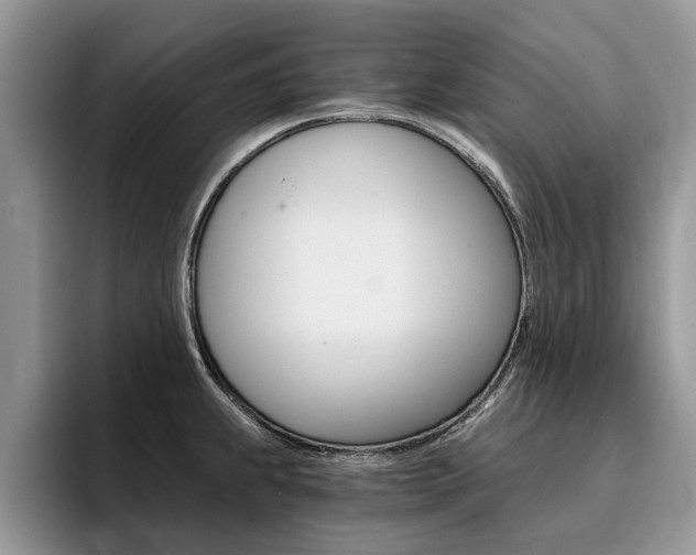 X0000096181239200801180844