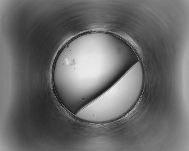 X0000096181240200801180844