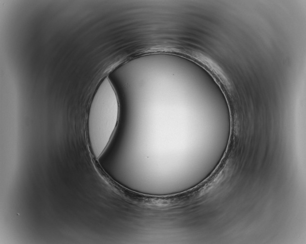 X0000096181241200801180844