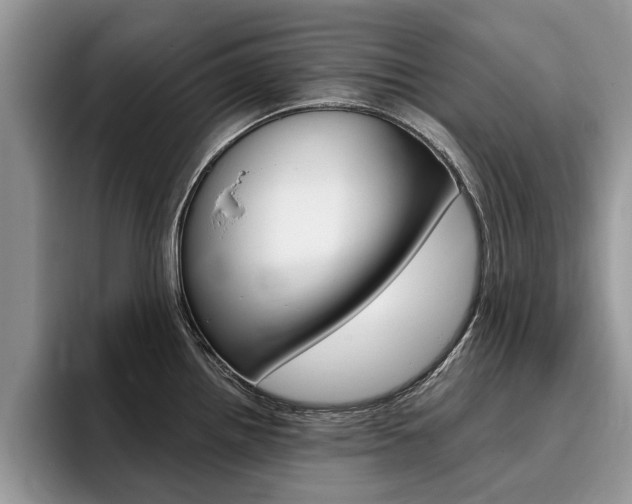 X0000096181242200801180844