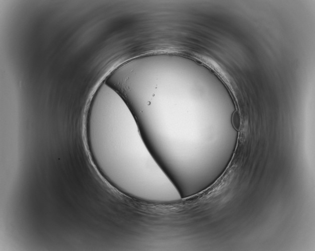 X0000096181243200801180844