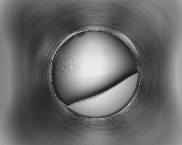 X0000096181244200801180844