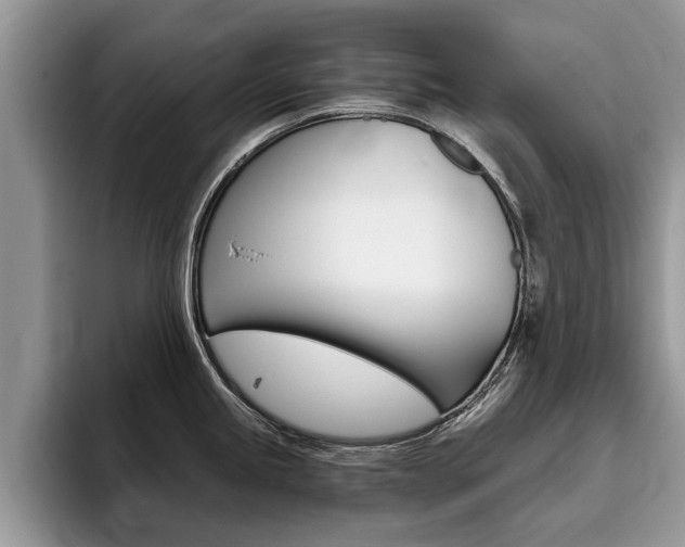 X0000096181245200801180844