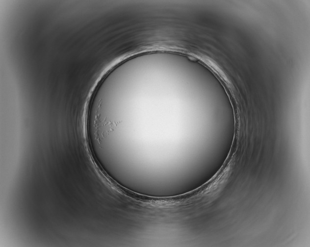 X0000096181246200801180844