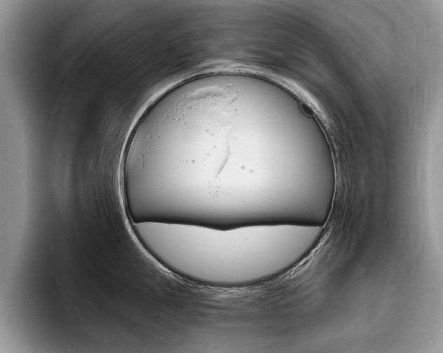 X0000096181247200801180844