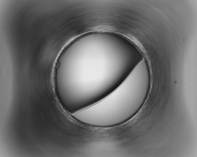 X0000096181248200801180844