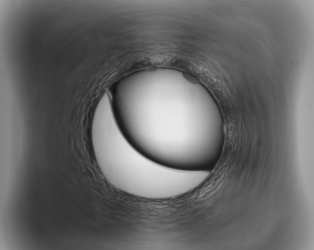 X0000096181249200801180843