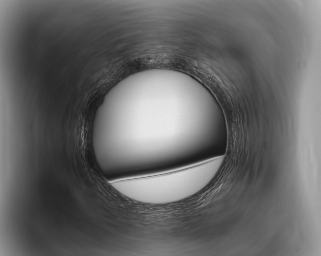 X0000096181250200801180843