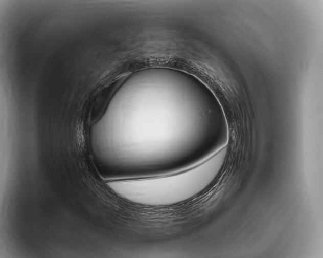 X0000096181252200801180843