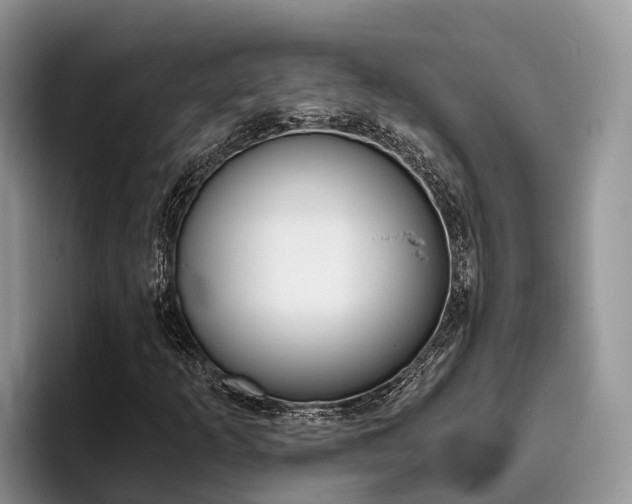 X0000096181253200801180843