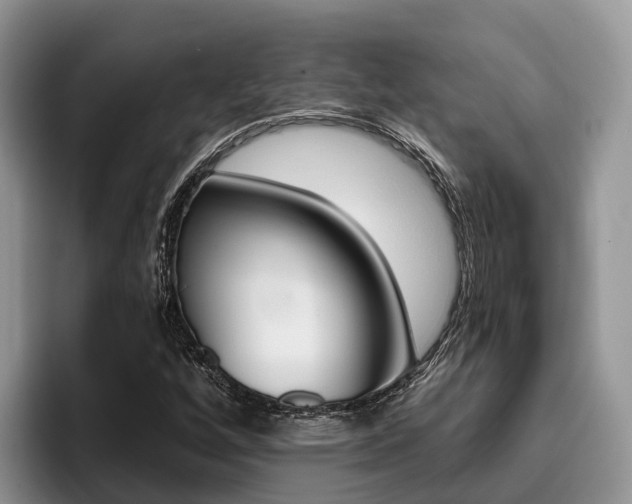 X0000096181256200801180843