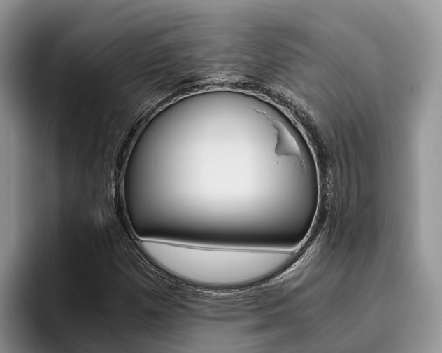 X0000096181257200801180843