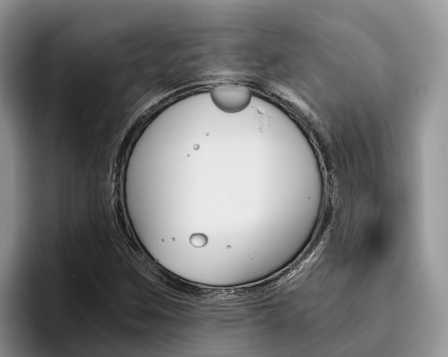 X0000096181259200801180843