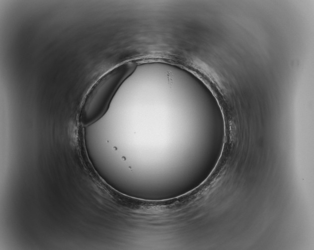 X0000096181260200801180843