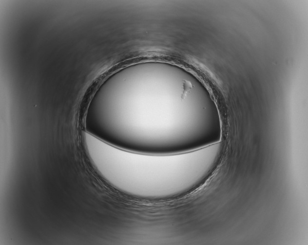 X0000096181261200801180843