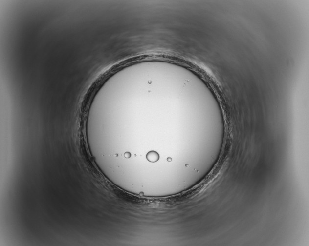 X0000096181263200801180843