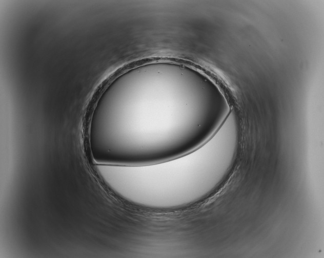 X0000096181264200801180843