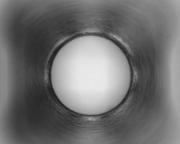 X0000096181266200801180843