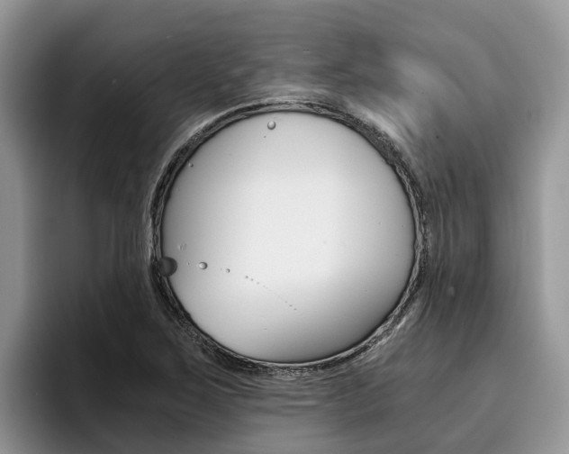 X0000096181267200801180843