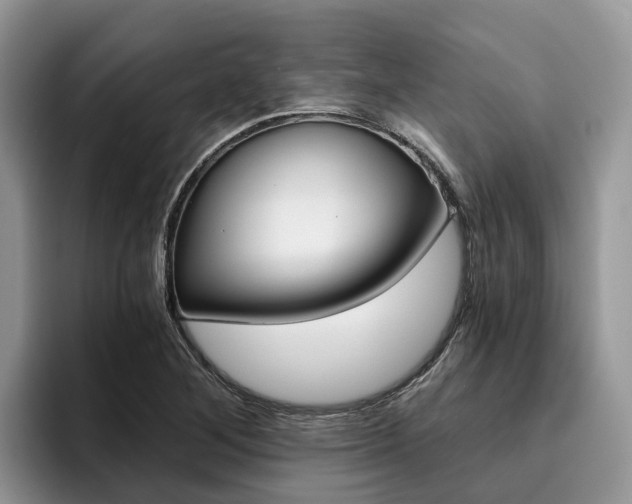 X0000096181268200801180843
