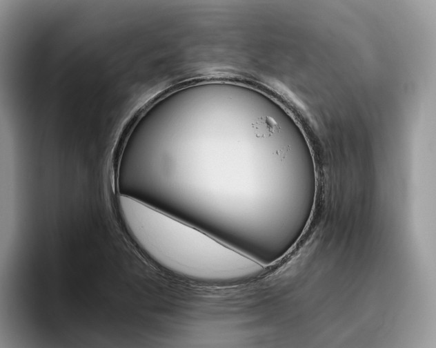 X0000096181269200801180843