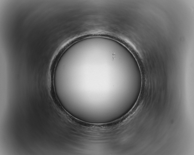 X0000096181270200801180843