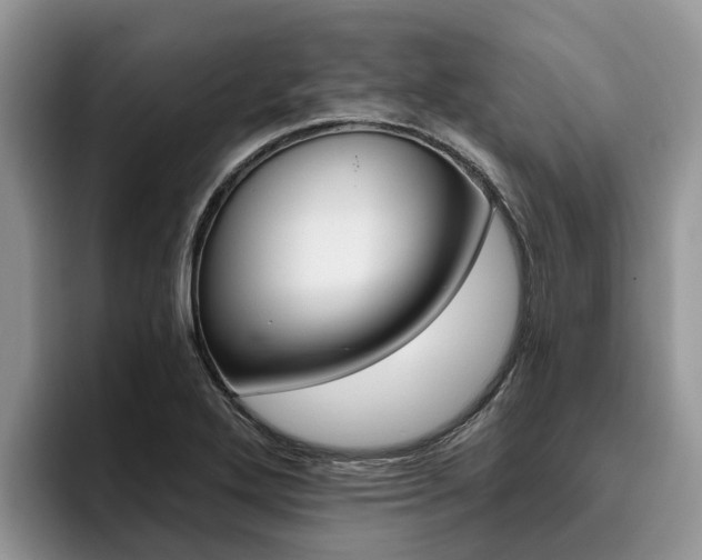 X0000096181272200801180843