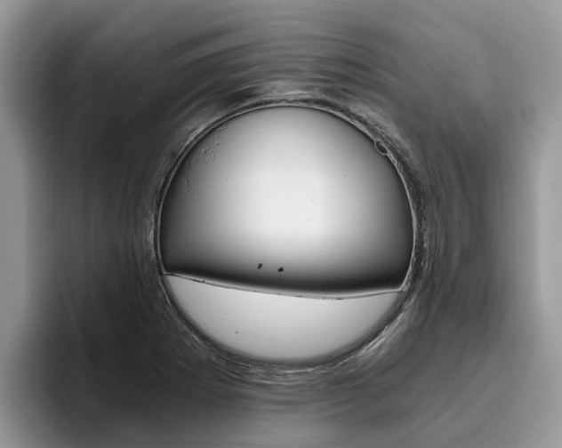 X0000096181273200801180843