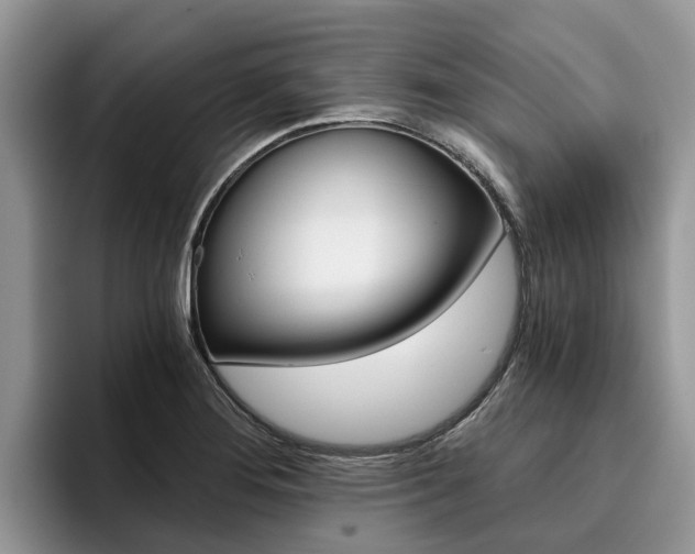 X0000096181276200801180843