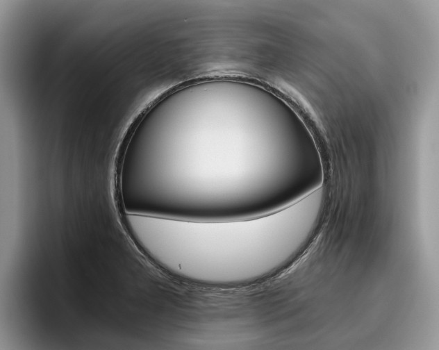 X0000096181277200801180843