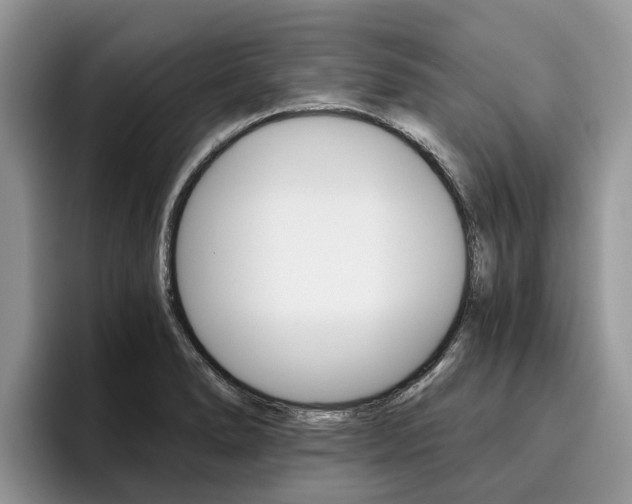 X0000096181278200801180843