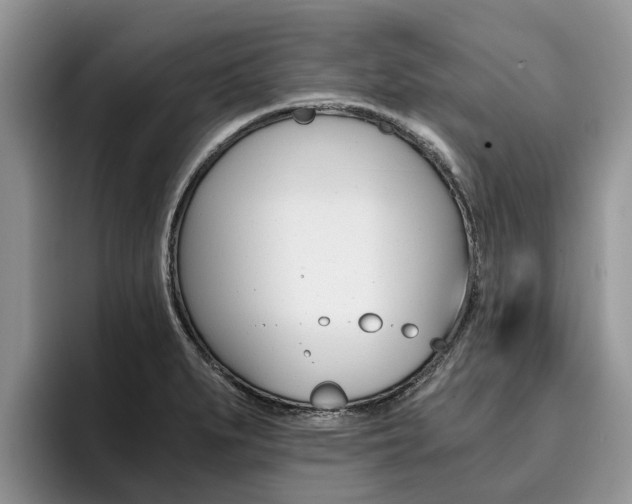 X0000096181279200801180843