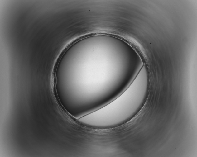 X0000096181280200801180843