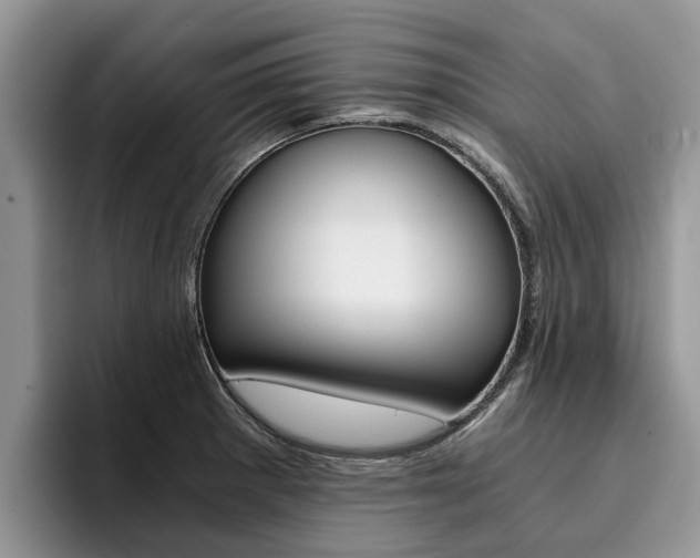 X0000096181281200801180843