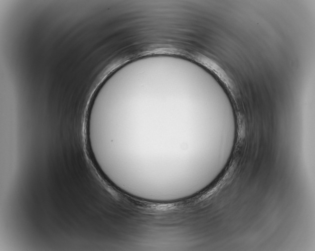 X0000096181282200801180843