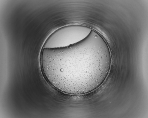 X0000096181283200801180843