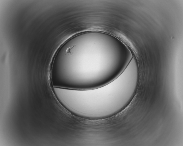 X0000096181284200801180843