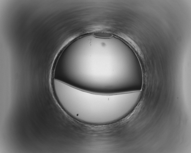 X0000096181285200801180843