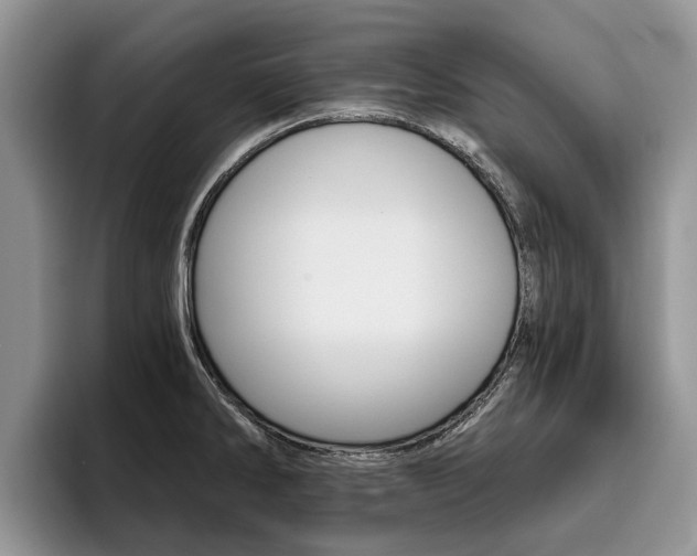 X0000096181286200801180843