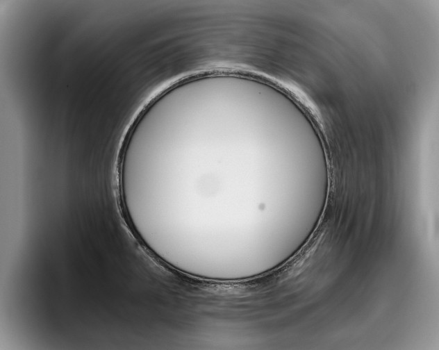 X0000096181287200801180843