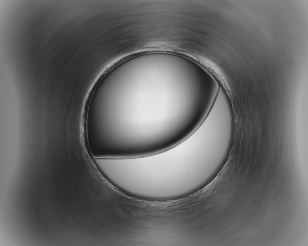 X0000096181288200801180843