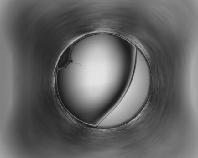 X0000096181292200801180842