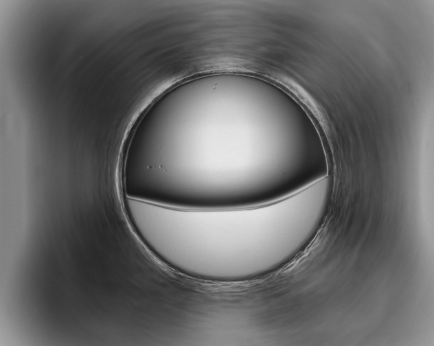 X0000096181293200801180842