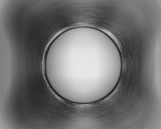 X0000096181294200801180842