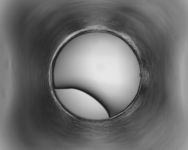 X0000096181295200801180842