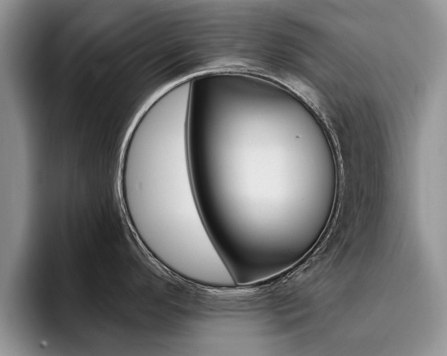 X0000096181296200801180842