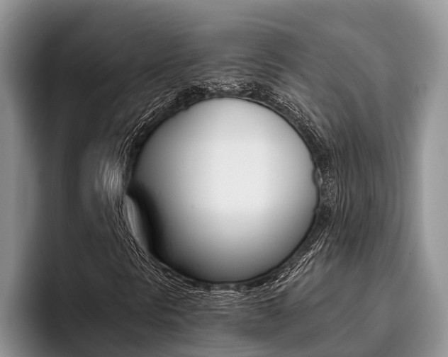 X0000096181297200801180842
