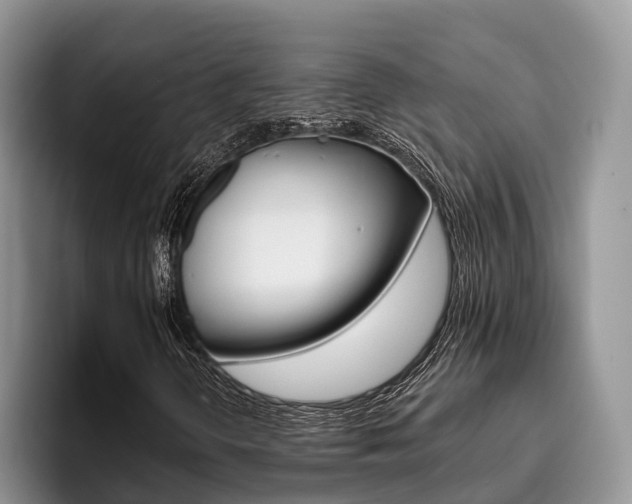 X0000096181298200801180842